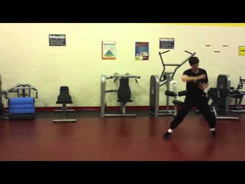 Ying Zhao: Eagle Claw Kung Fu 2013