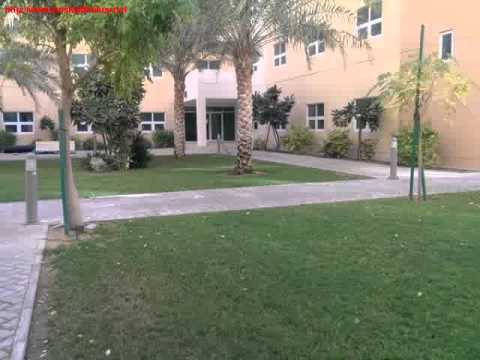 Best Investment , Dip , Ritaj , Full Building For Sale , 141 Studios , Covered Car Parking