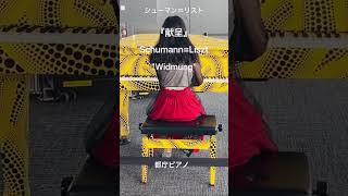 Download lagu シューマン=リスト【献呈】【東京都庁ピアノ】Schumann=Liszt 'Widmung'弾いてみました mp3 Download lagu シューマン=リスト【献呈】【東京都庁ピアノ】Schumann=Liszt 'Widmung'弾いてみました mp3