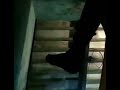 Kolkata Sonagachi New Red Light Area Video