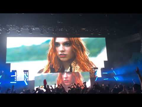 Seven lions x Slander x Dabin- First time