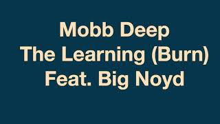Mobb Deep - The Learning (Burn) Feat. Big Noyd, Vita (Lyrics)