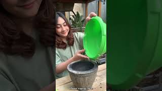 Download lagu Make processed Garut wind for Ka Tian #DV mp3