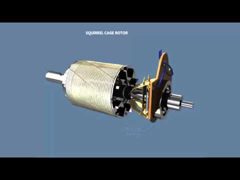 Construction of single phase induction motor