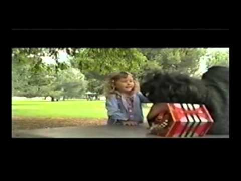 Dias Perfeitos - João Anderson