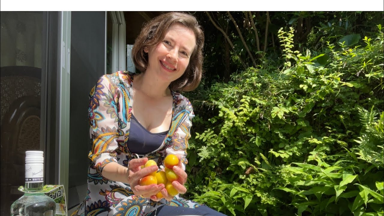 Crunchy Pickled Plums Recipe