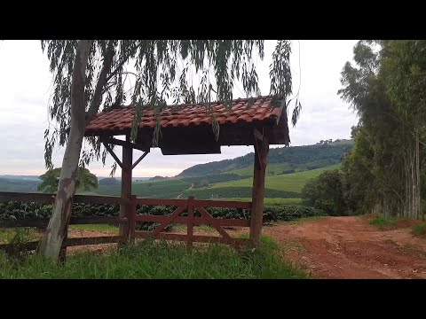 Pela estrada nego elói, entre Claraval mg e Franca sp, até o rio canoas