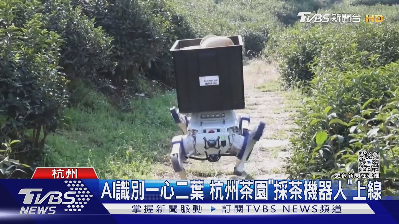 機器人取代採茶姑娘! 搬運90kg臥床長輩不費力 按摩功力不輸真人