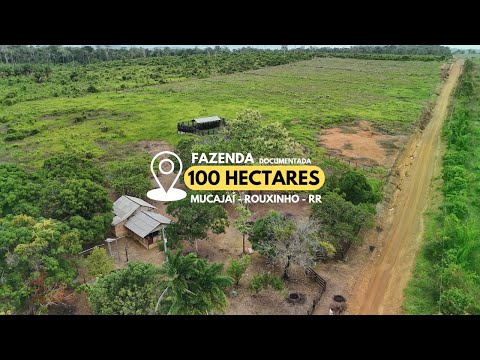 100 HECTARES EM MUCAJAÍ - ROUXINHO