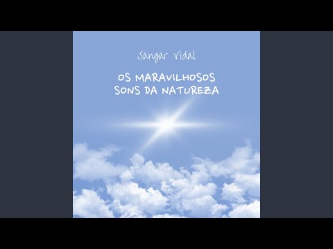 Crepúsculo na Floresta Encantada