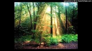 Download lagu Ramona Vita - Nimeni vesnic nu traieste ( Doina din Banat) mp3 Download lagu Ramona Vita - Nimeni vesnic nu traieste ( Doina din Banat) mp3