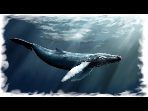 Jean Michel Jarre - Ethnicolor (песня китов, whale song)