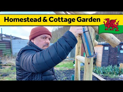 212. Miners Cottage Garden Update, Harvesting and Snowdrops - Living Alone in Wales