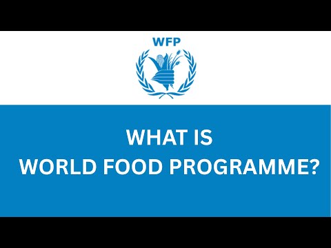 WHAT IS WFP?
