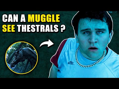 Can Muggles See THESTRALS? - Harry Potter Theory