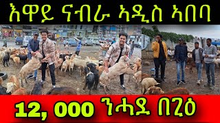 🚨እዋይ ናብራ ኣዲስ ኣበባ! 12, 000 ንሓደ በጊዕ!