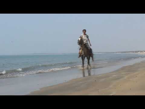 Mandvi Beach Horse Riding With Sultan | Beautiful Moment