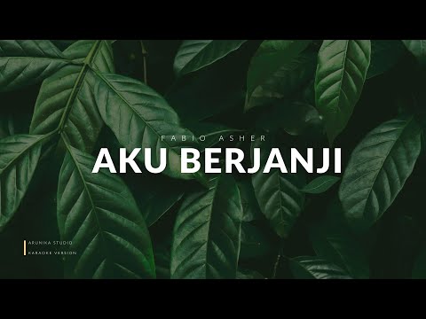 FABIO ASHER - AKU BERJANJI (lyric) lirik