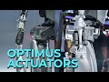 Tesla S Robot Actuators A Game Changer For Robotics