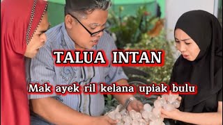 Download lagu TALUA INTAN 😂 mak ayek ril kelana Upiak Bulu mp3