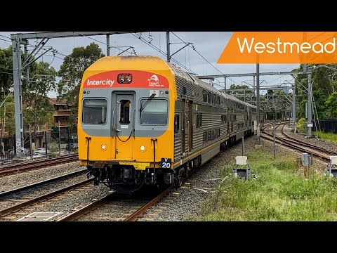 Sydney Trains Vlog 1808: Westmead Midday Trainspotting