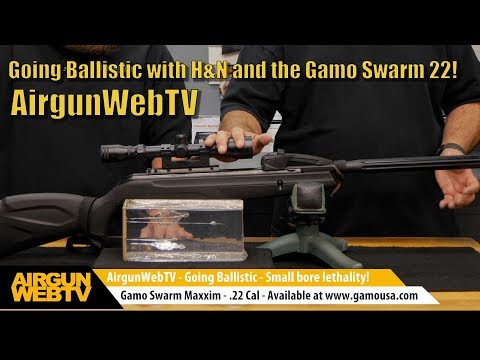 Going Ballistic 2017! Small Bore Lethality brought to you by H&N Pellets - Gamo Swarm Ballistics