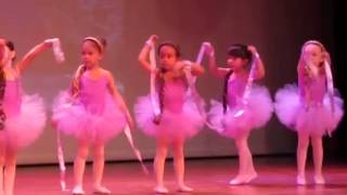 Ballet Projeto Kids 2013 - Ana Maria