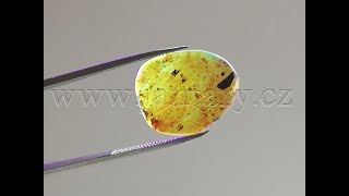   Křídový jantar B-233