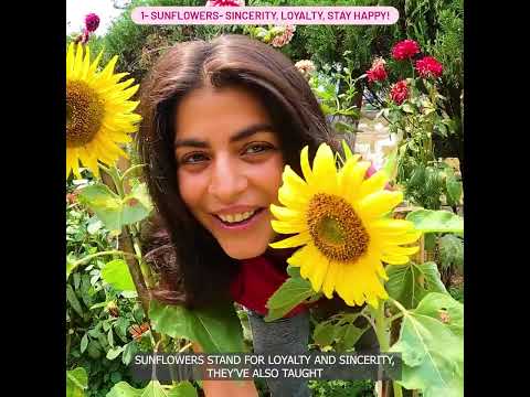 Shenaz Treasury Ft. Biotique