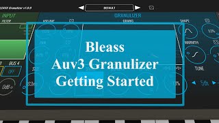 Video thumbnail for Bleass Granulizer - Tutorial by SoundForMore Tutorials