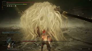 [法環] 成功無傷彈反DLC尾王心得