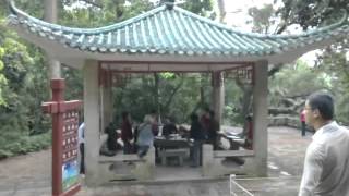 Voices  from the  Heart of China.