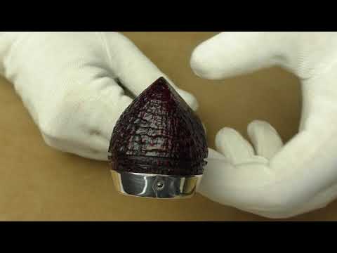 Peterson Silver Cap 150 - pipe 1869