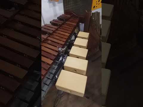 Cencerros de madera Laminado de  Guatambú set 5 Woodblocks