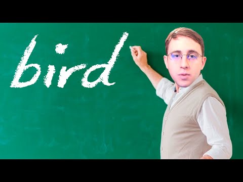 Falco Enjoyer Teaches You How To play