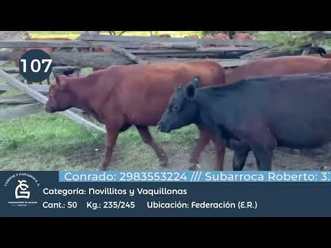 Lote Nll y Vq - Federación - Entre Ríos