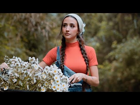 Dia De Sorte - Mariana Nolasco