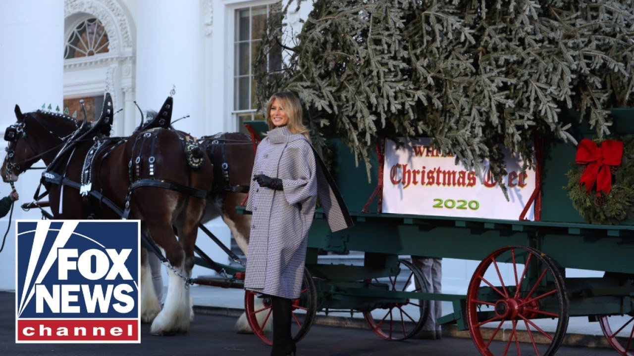 WATCH LIVE: First lady Melania Trump welcomes White House Christmas Tree