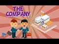 WHAT IS A COMPANY Educational Video For Kids