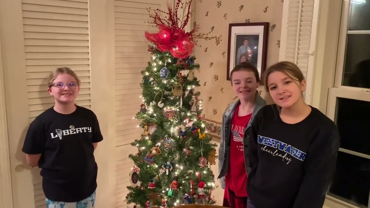 Decorating the New Tree with Ornaments from when Daddy was growing up.