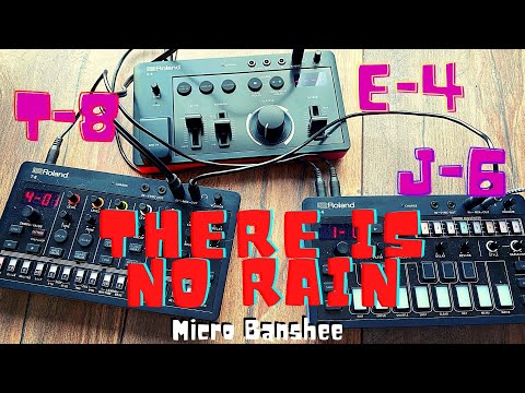 Roland Aira Compact:  E-4  / J-6 / T-8 - There is no rain!