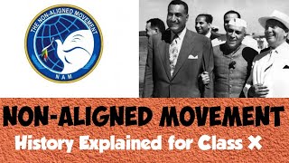 Non-Aligned Movement (NAM) | World History | ICSE Class X | Explained in English and Hindi