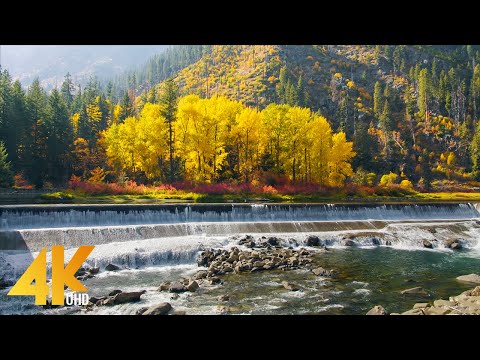 4K Fall Foliage of Leavenworth Area - 3,5 HRS of Amazing Autumn Scenery and Nature Sounds