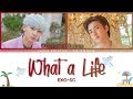 EXO-SC - What a Life Lyrics Color Coded (Han/Rom/Eng)
