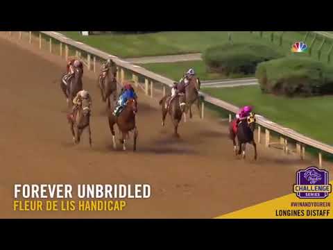 The Personal Ensign 2017 the field