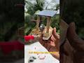 Solar Power Boat Useing Dc Motor School Science Project Shorts Solar Dcmotor