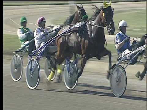 Trotto 14/04/2017 - 4ª corsa