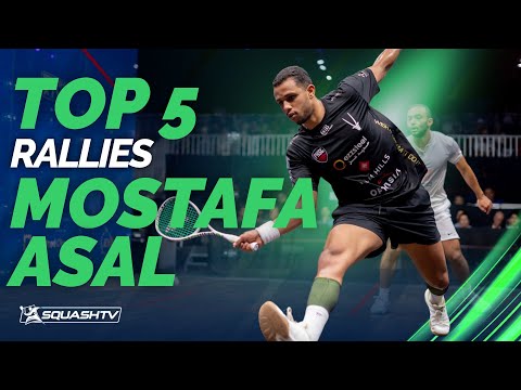Mostafa Asal - Top Five Rallies 2024/25 🔥