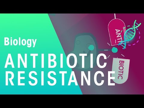 Antibiotic Resistance | Health | Biology | FuseSchool