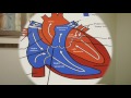 NormalHeart